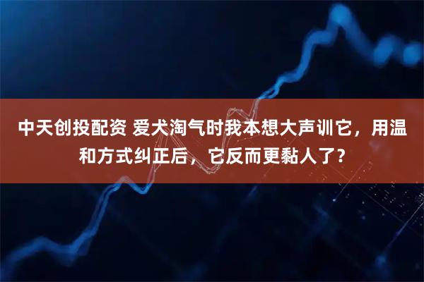 中天创投配资 爱犬淘气时我本想大声训它，用温和方式纠正后，它反而更黏人了？