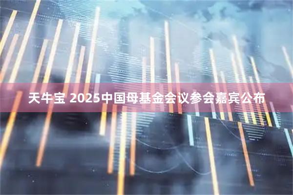 天牛宝 2025中国母基金会议参会嘉宾公布